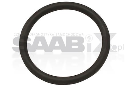 oring n kopia.jpg
