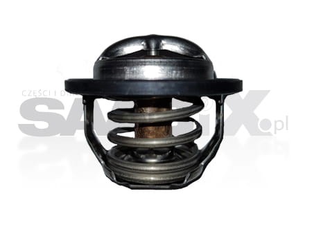termostat motor rad kopia.jpg