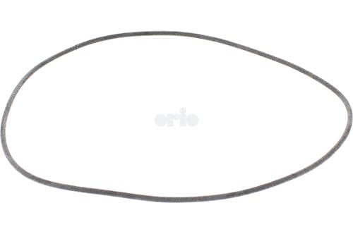 4896569.jpg