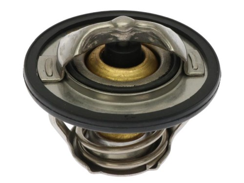 TS T125.82T.jpg