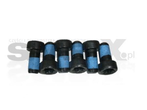 ZESTAW ŚRUB KOŁA DWUMASOWEGO DO SAAB 9-3 SS 1.9TiD 05-10R.